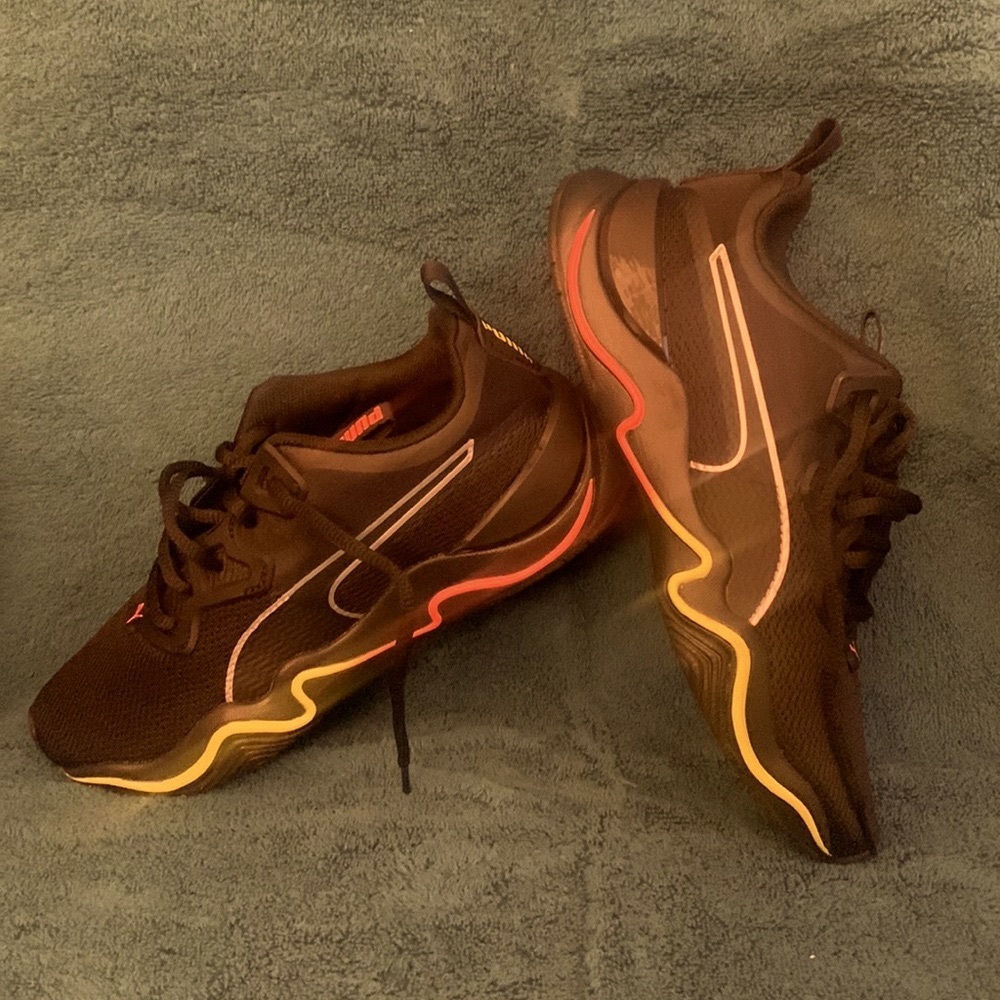 PUMA Hybrid